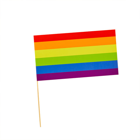 Rainbow Paper Flags 6 Pack
